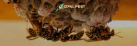 Opal Pest Control Hobart image 5